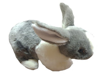 Load image into Gallery viewer, Rabbit
